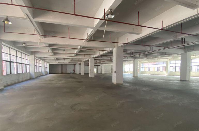 凤岗工业园新空带精美装修办公室厂房出租，丙二类消防低价甩租