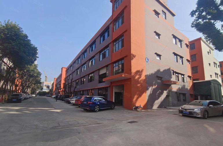 凤岗镇小独栋3000平方，价格13元，高度8米，形象好