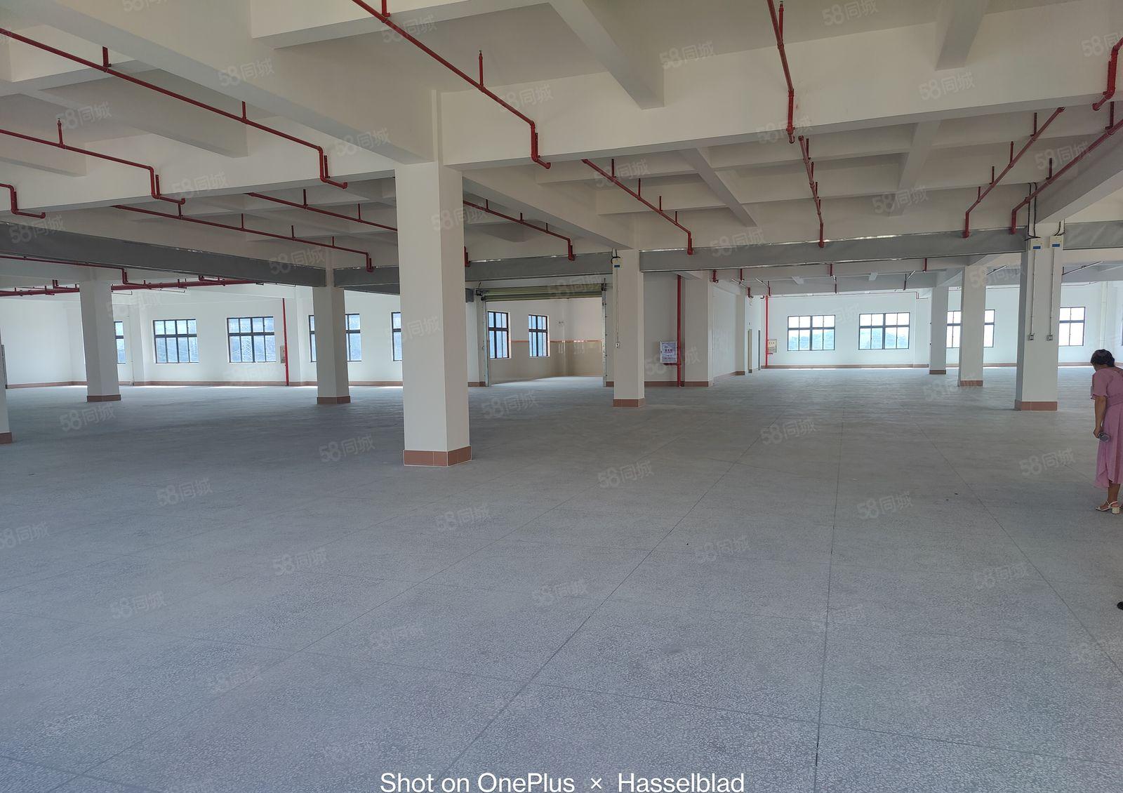 1000起租凤岗近平湖2万平物流园厂房出租带卸货平台超大空地