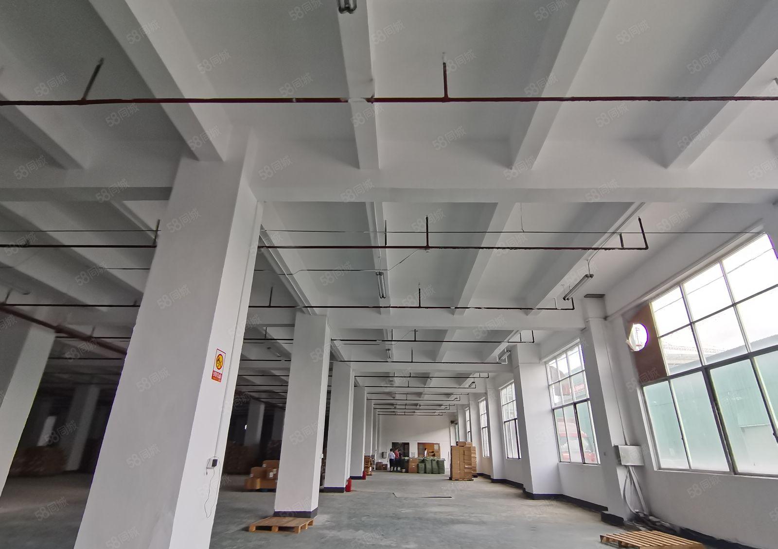 凤岗宝洲工业区原房东8千平独栋红本仓库厂房出租可分租可办环评