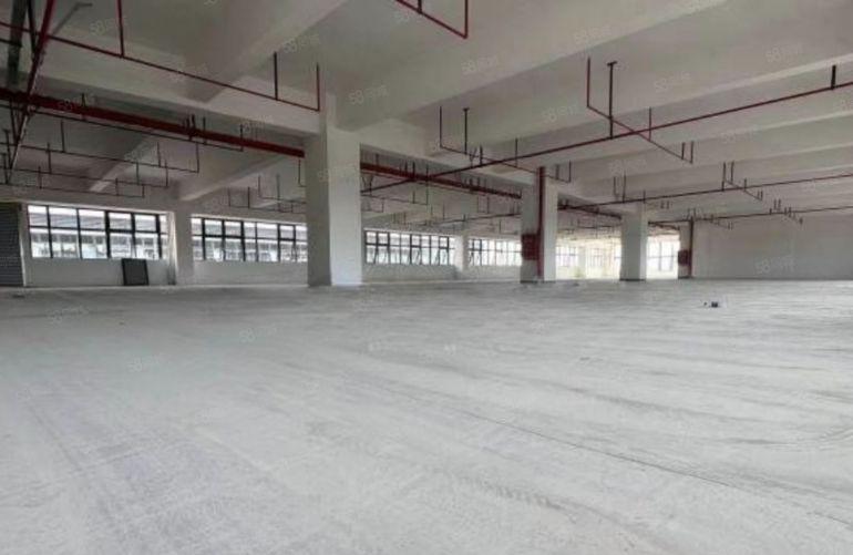 新出！凤岗红本3万平方厂房招租，临深国道旁，工业用地