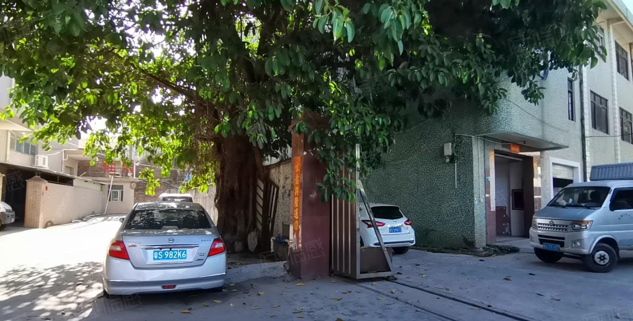 凤岗官井头小布工业区一楼1000平红本独院仓库厂房出租可分租