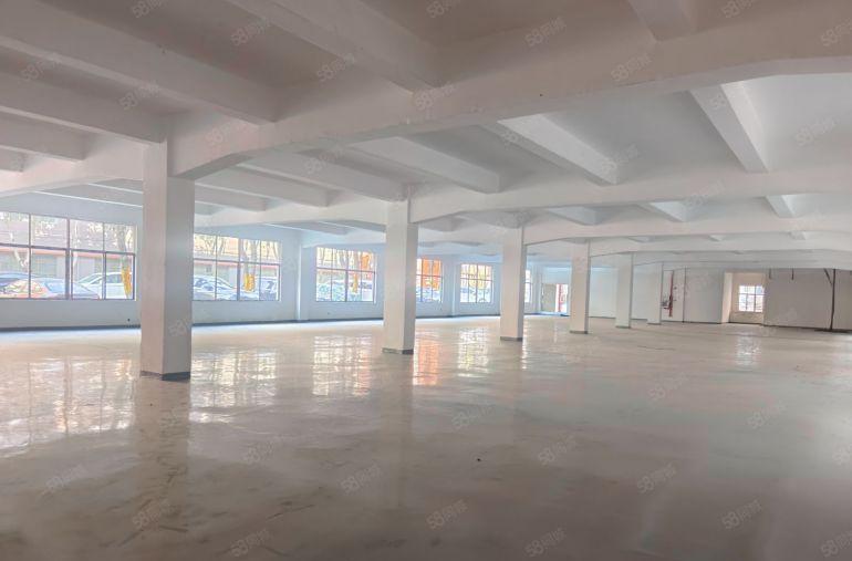 凤岗镇小独栋3000平方，价格13元，高度8米，形象好