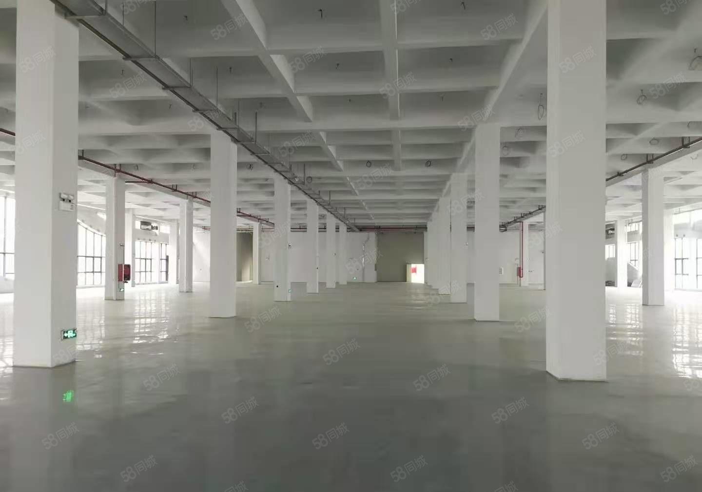 凤岗全新工业园带红本三万平方出租价格优惠按需分租