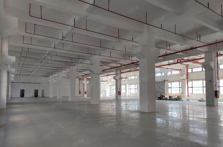 凤岗五联一楼2000平方带牛角带办公室装修空地大厂房仓库出租