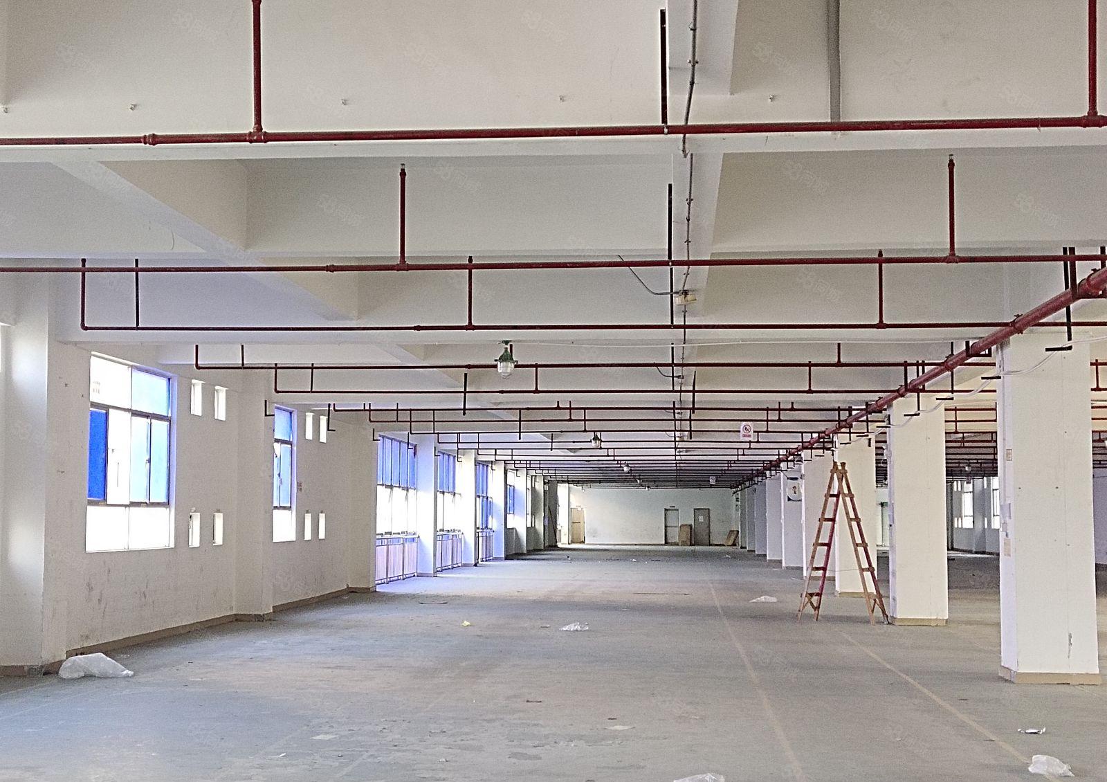 凤岗官井头大龙工业区独栋2800平红本标准仓库厂房出租可分租