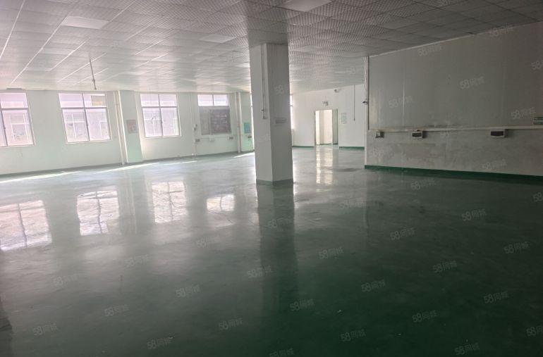 凤岗金凤岗新出3楼800平标准厂房出租，带装修办公室地坪漆