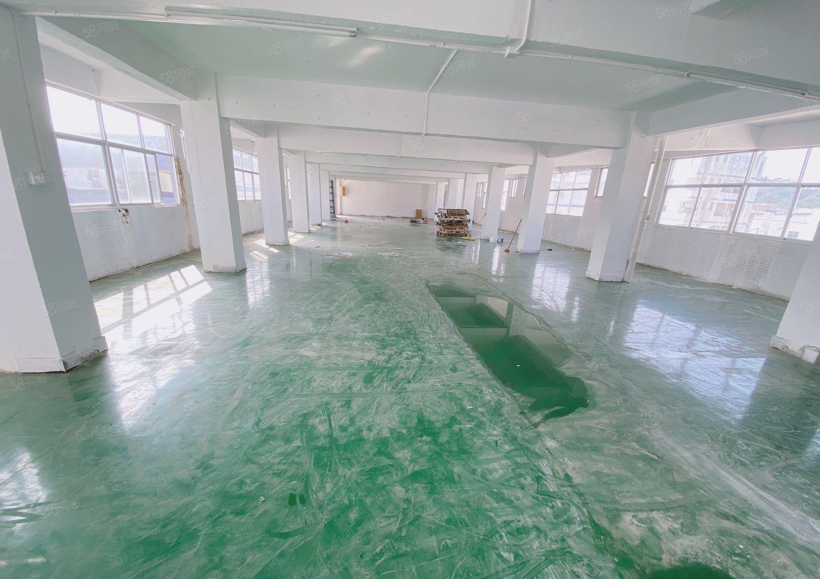 凤岗雁田自家厂房出租600平租金8000现车水电办公室