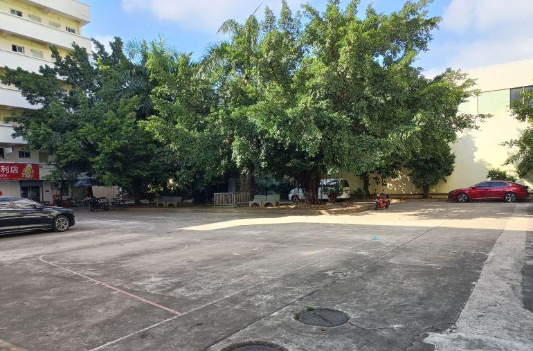 凤岗五联单一层12米高10000平米厂房出租