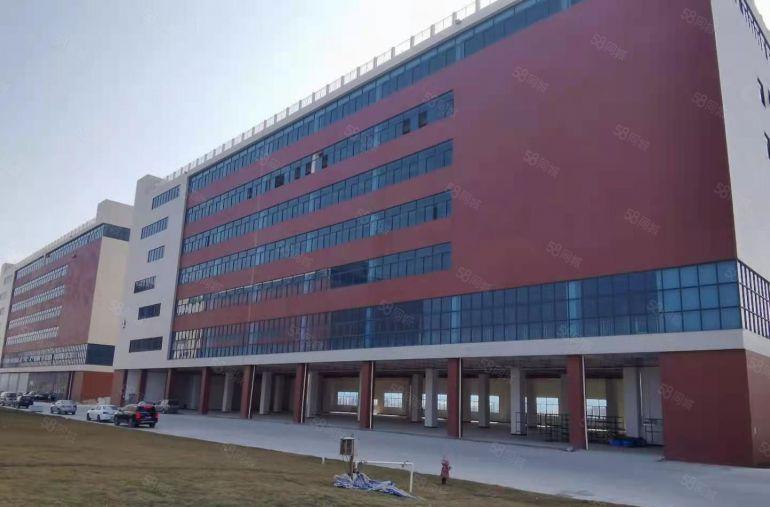 200平起分凤岗金凤凰单层面积2600平和3900平已隔好