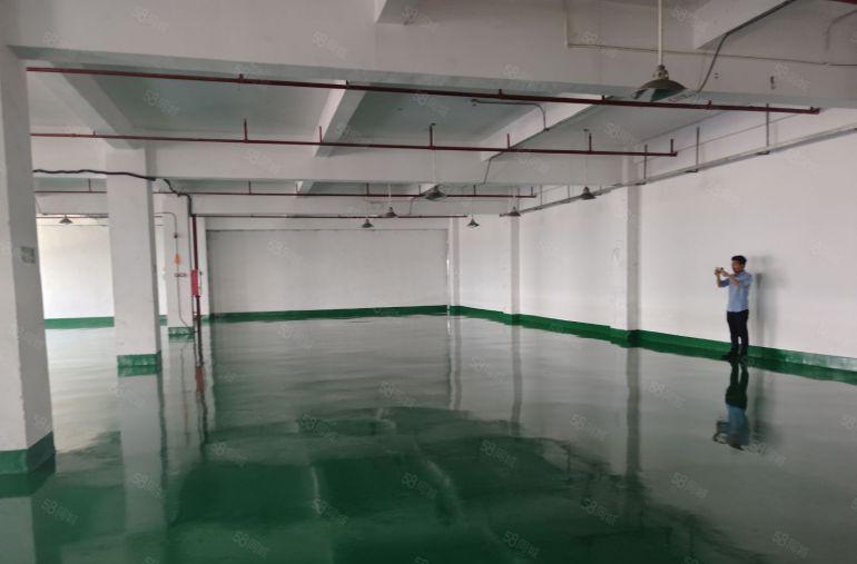 凤岗金凤岗新出3楼800平标准厂房出租，带装修办公室地坪漆