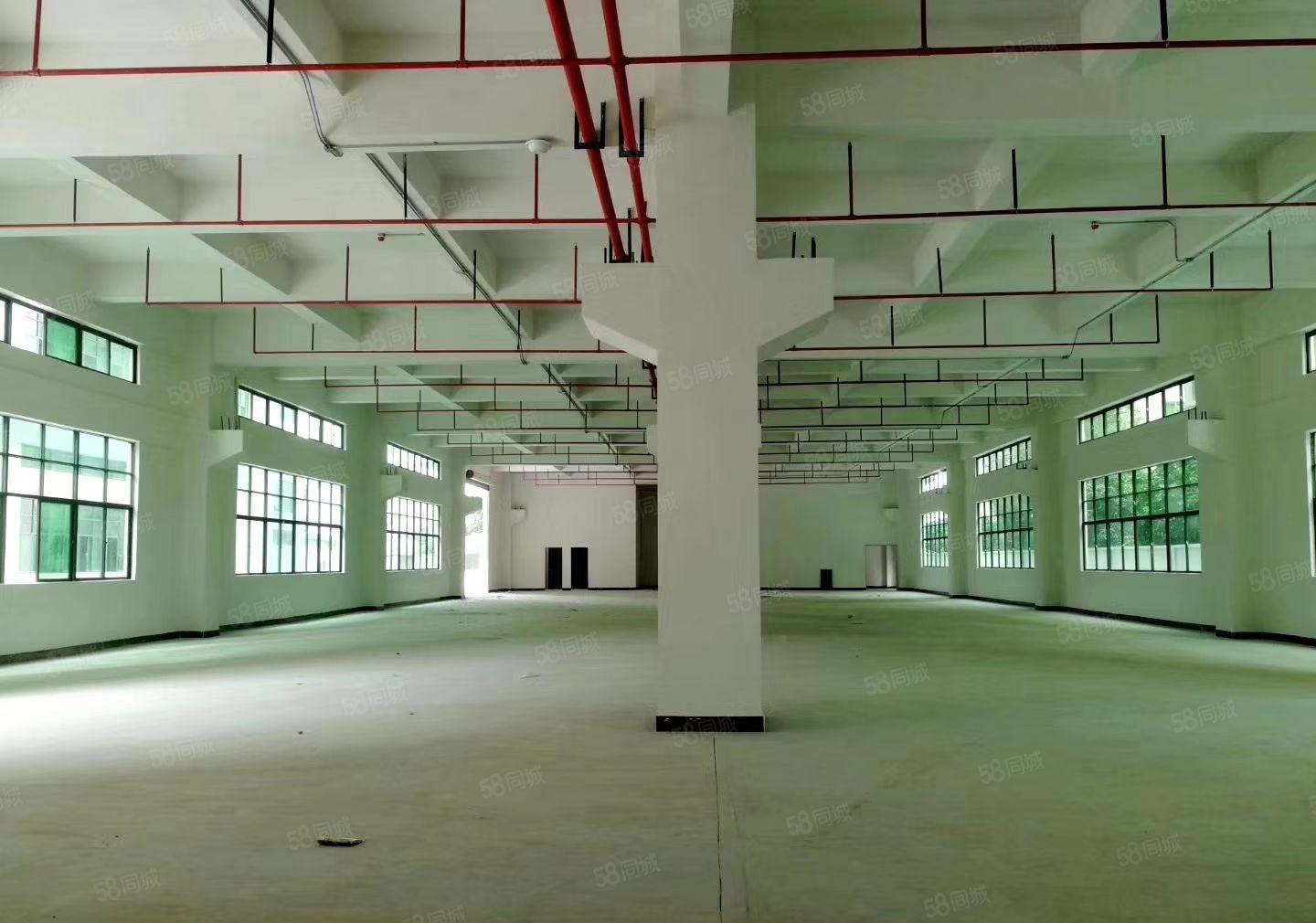 新出原房东独门独院3800平方厂房出租（可以分租）