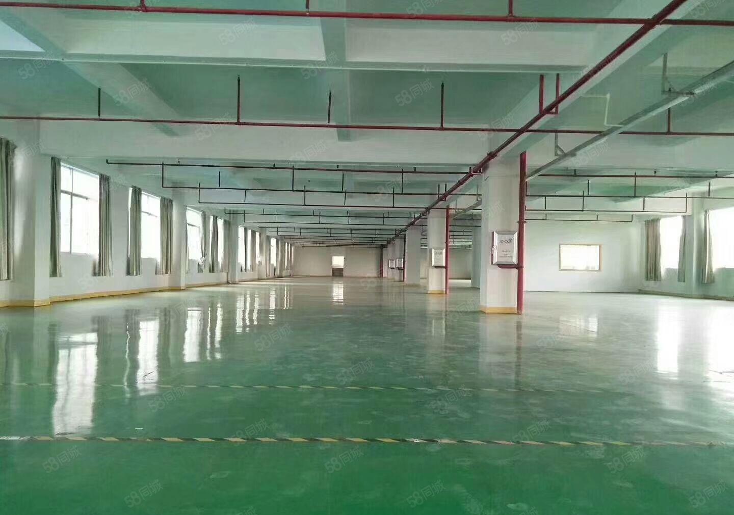 凤岗五联新出带精装修楼上原房东厂房2000平方出租（可分租）