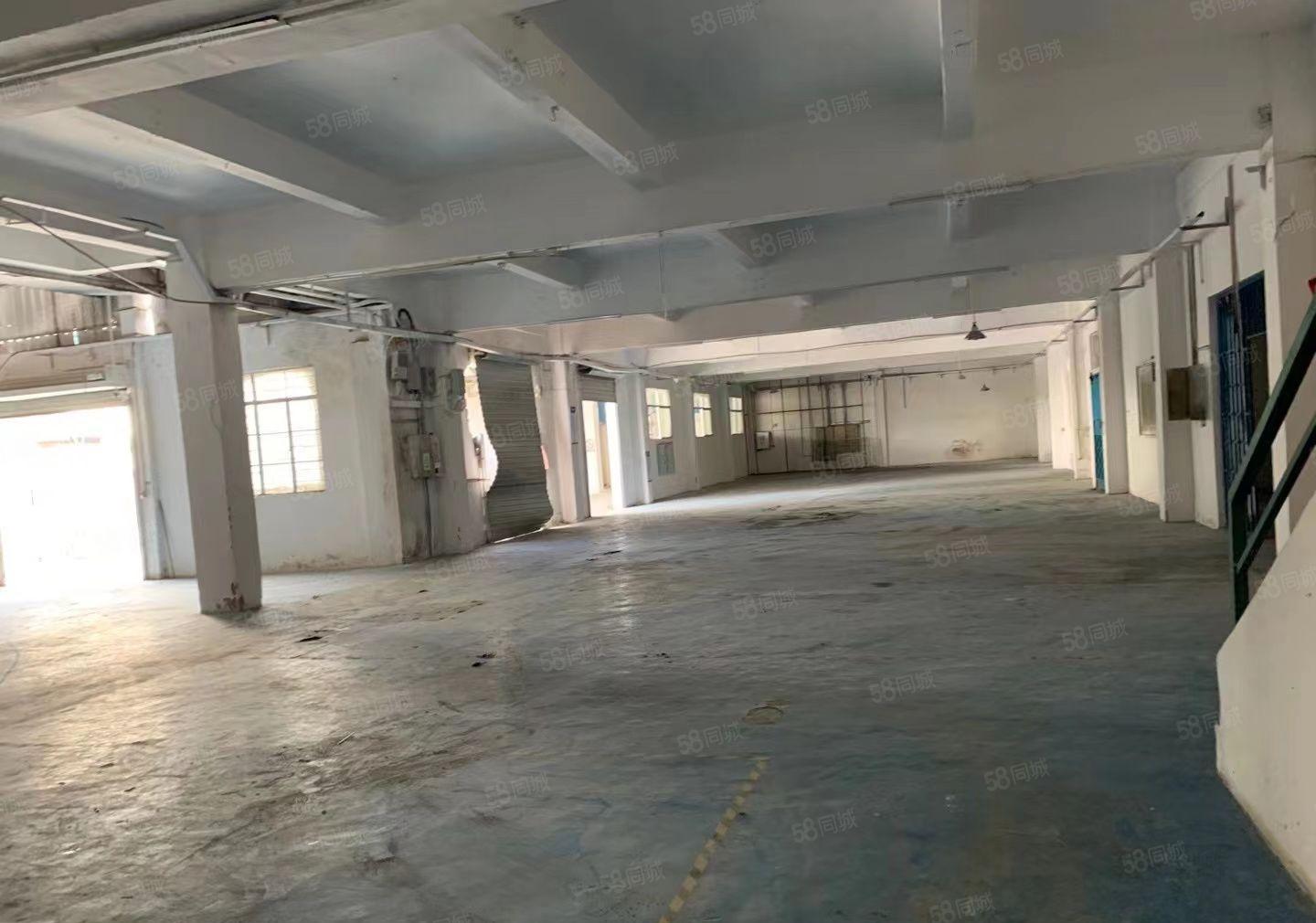 凤岗中心独栋厂房出租