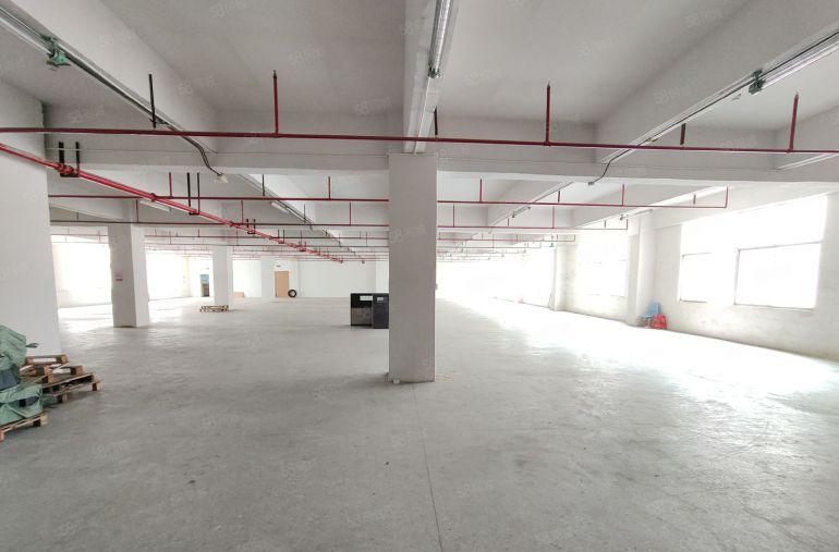 凤岗金凤凰楼上1500平租金14元厂房出租现成办公室水电