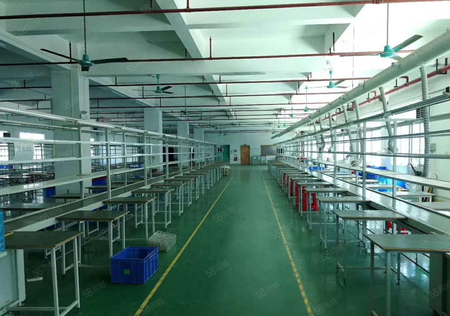 新出独院3800平方厂房出租可以分租