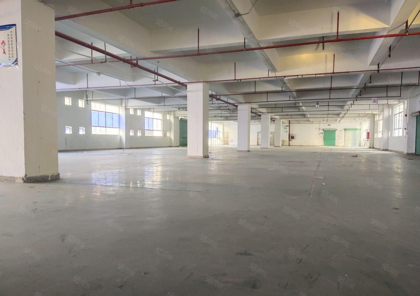 凤岗宏盈工业区独院2百5百8百1千平原房东仓库厂房出租可分租