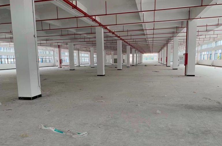 凤岗原业主新出大平层一二楼10000平可分租