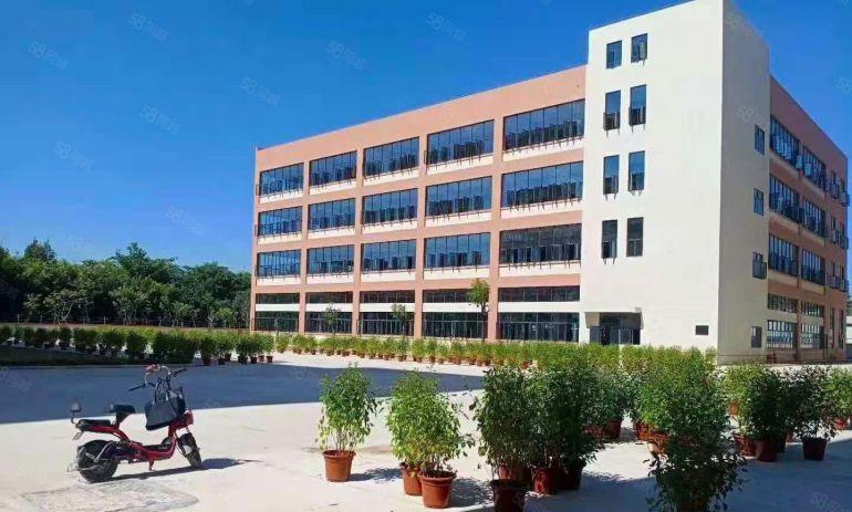 原业主0公摊直租！凤岗金凤凰独栋10000平红本厂房仓库出租