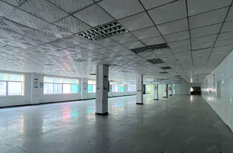 12元起租凤岗天堂围原房工业园区厂房仓库出租可分租价格实惠