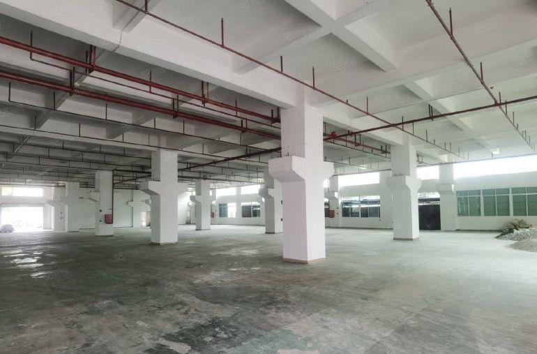 带牛角7米高一楼厂房）凤岗新空出2500平方米厂房出租