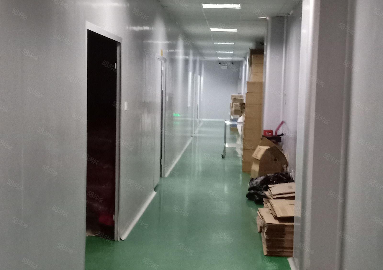 二楼整层1600平米带无尘车间精装修带电梯业主直租
