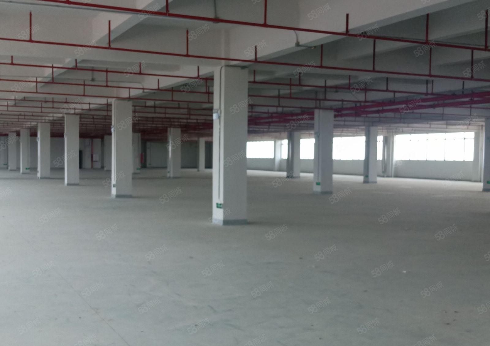 凤岗漂亮工业园带装修厂房每层2800可以分租