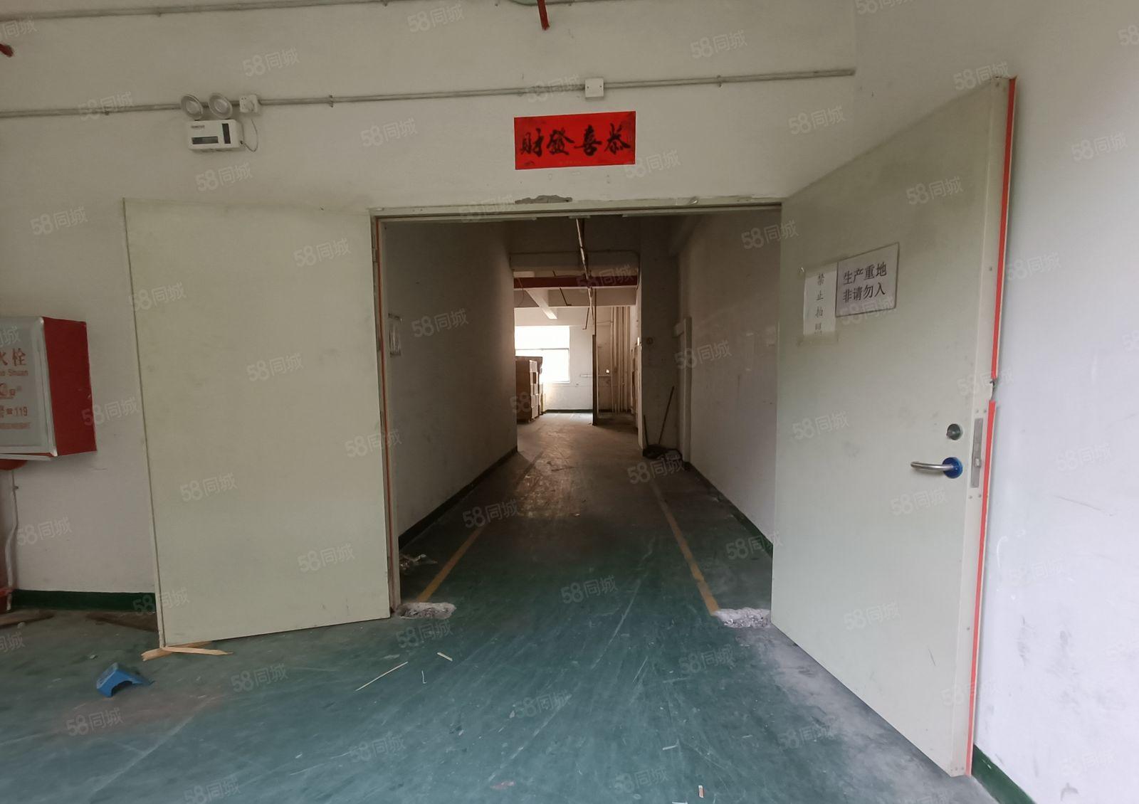 红盈工业园新出楼上800平 (临深) 可办环评  一手房东