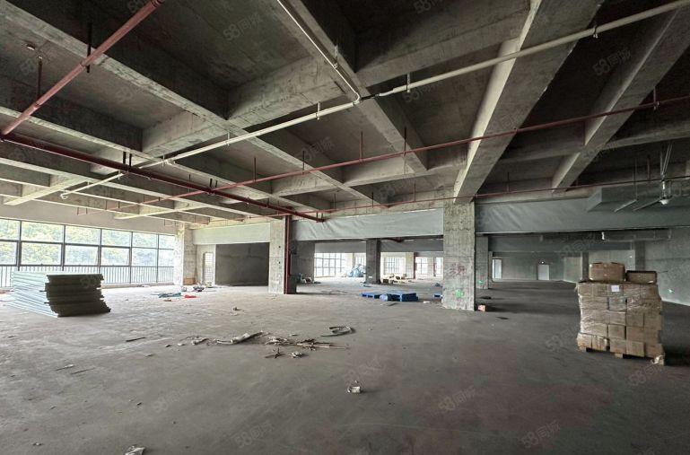 天安深创谷东区整层1900平高使用率厂房出租