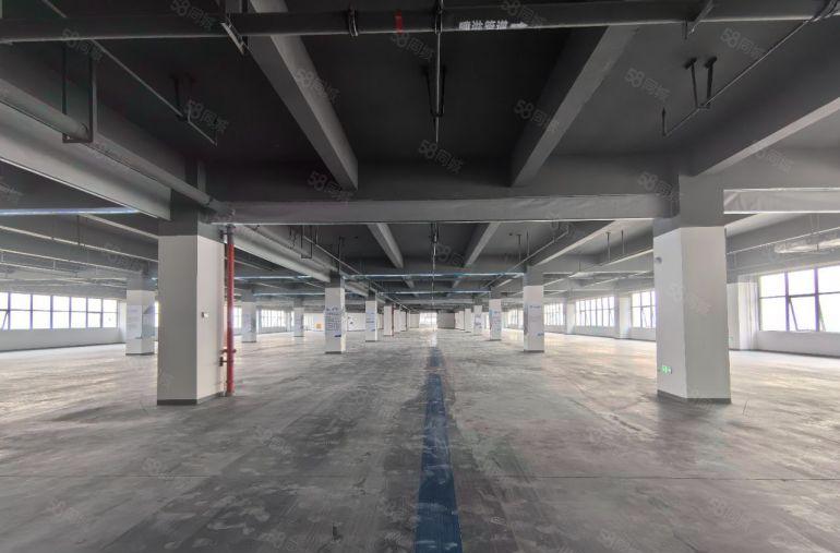 凤岗金凤凰原房东楼上5000平整层，可分租，全新厂房带卸货平