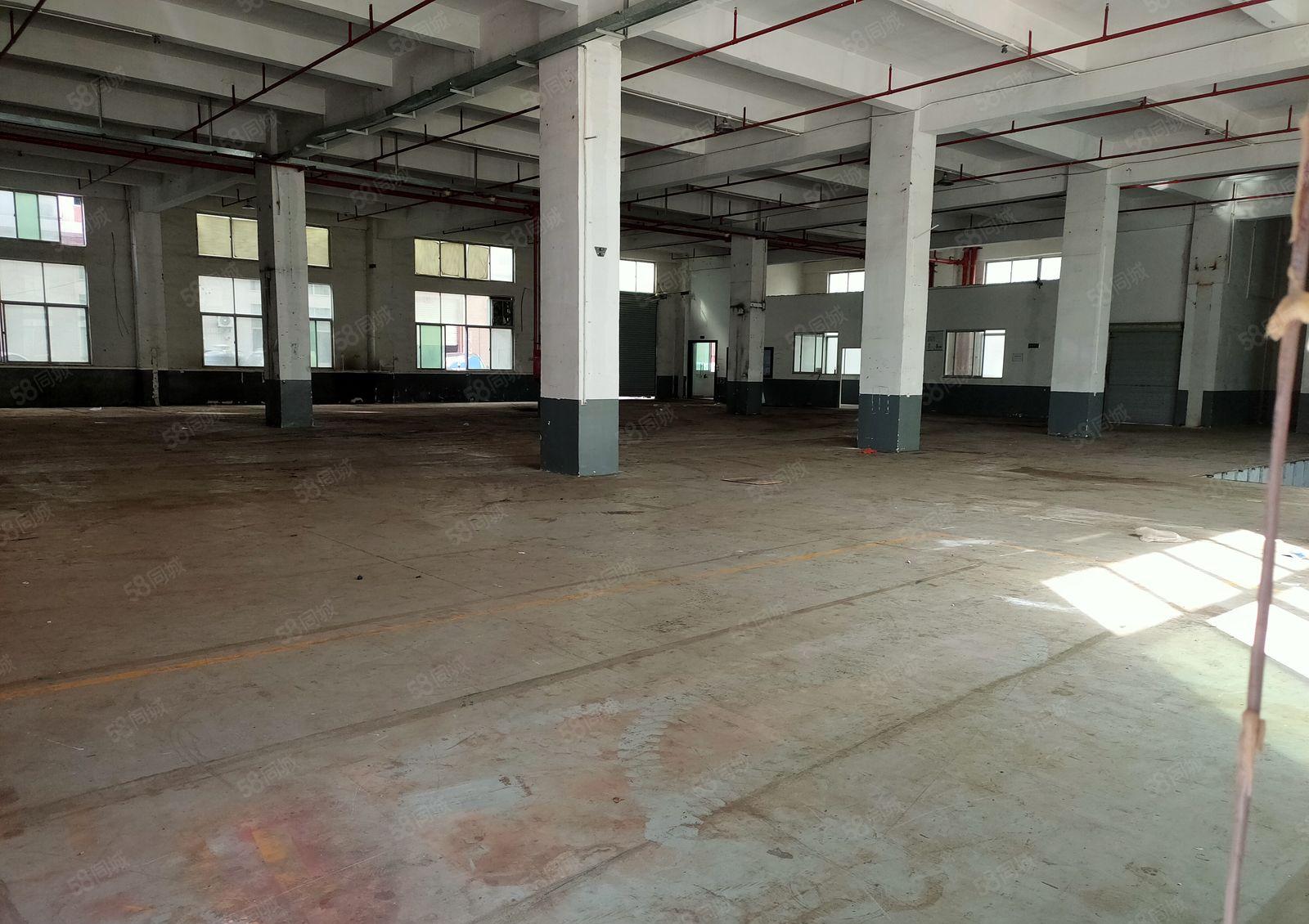 金凤凰一楼7米高 现成办公室 带消防喷淋 离东深线300米