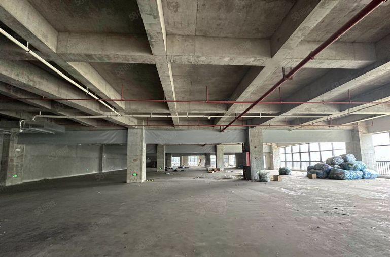 天安深创谷东区整层1900平高使用率厂房出租