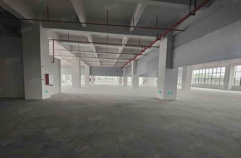 常平镇国有双证带红本原房东独院厂房实际面积出租工业用地好招工