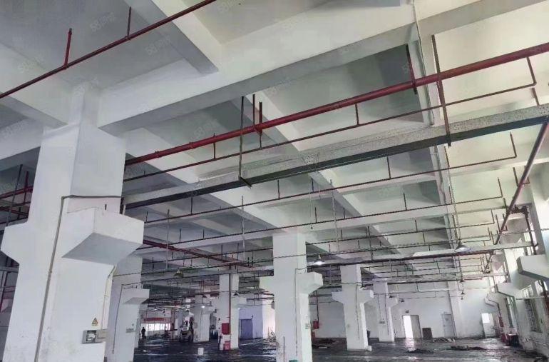 带牛角7米高一楼厂房）凤岗新空出2500平方米厂房出租