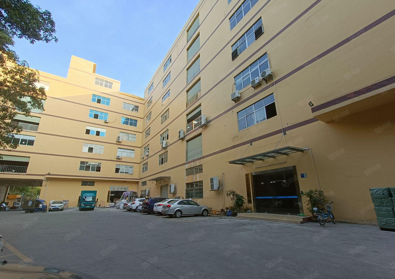 红盈工业园新出楼上800平 (临深) 可办环评  一手房东