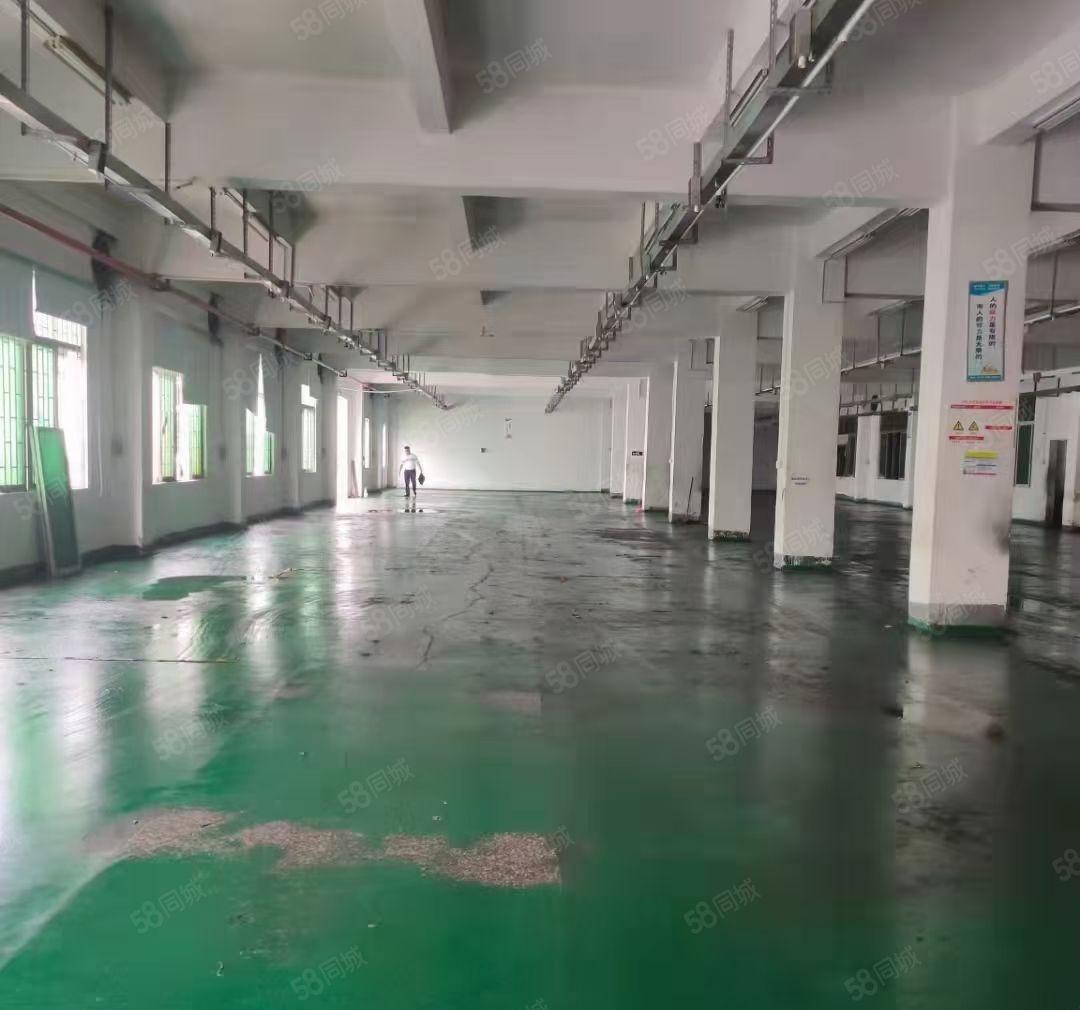 凤岗漂亮独院厂房2层钢构7000平方招租