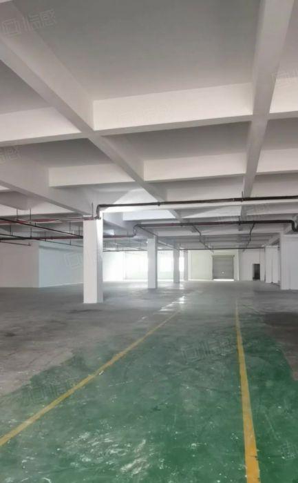 凤岗雁田村电商仓库招租4000平方500起分