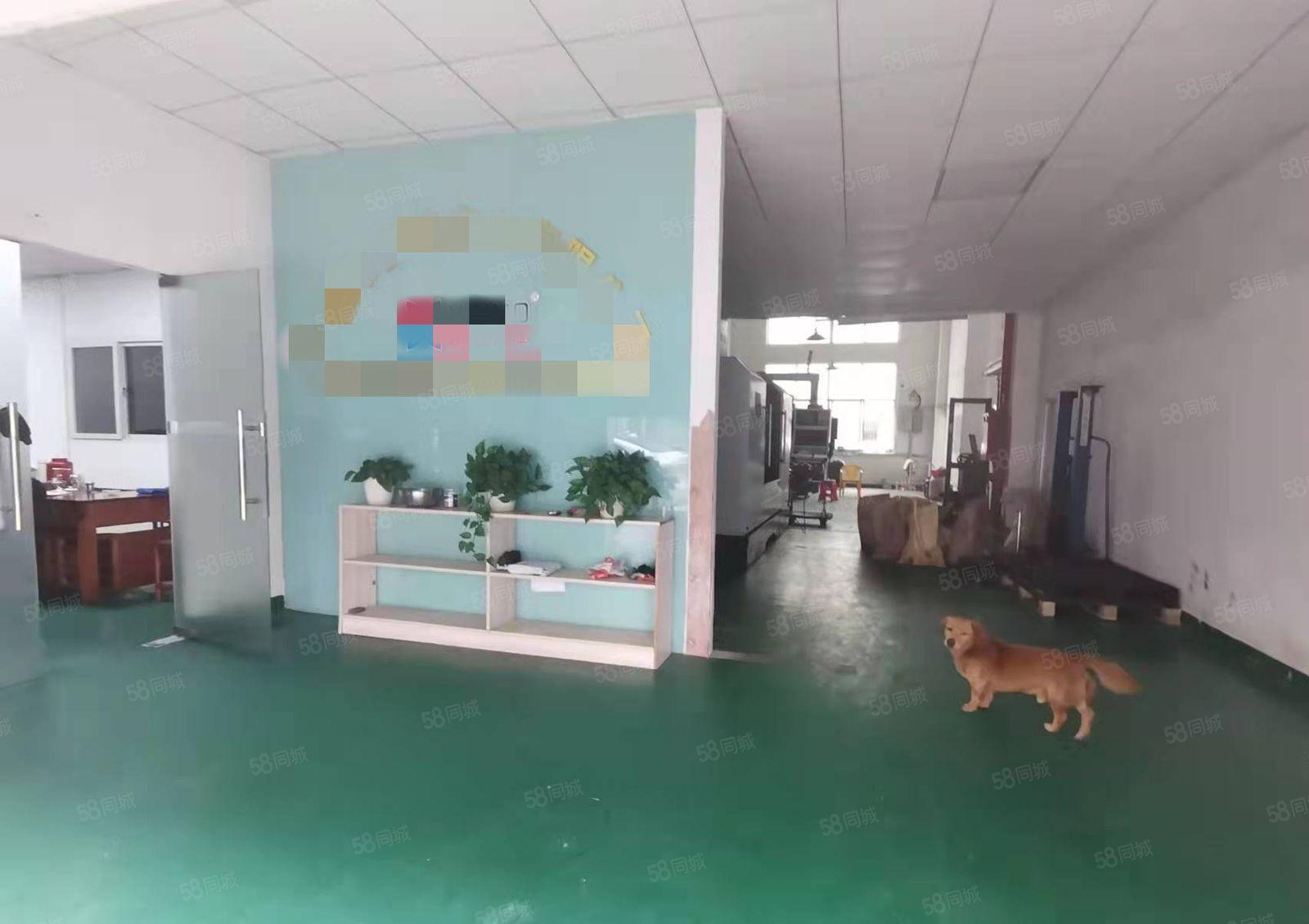 凤岗金凤凰一楼可做小型五金注塑塑胶厂房出租650平 层高6米