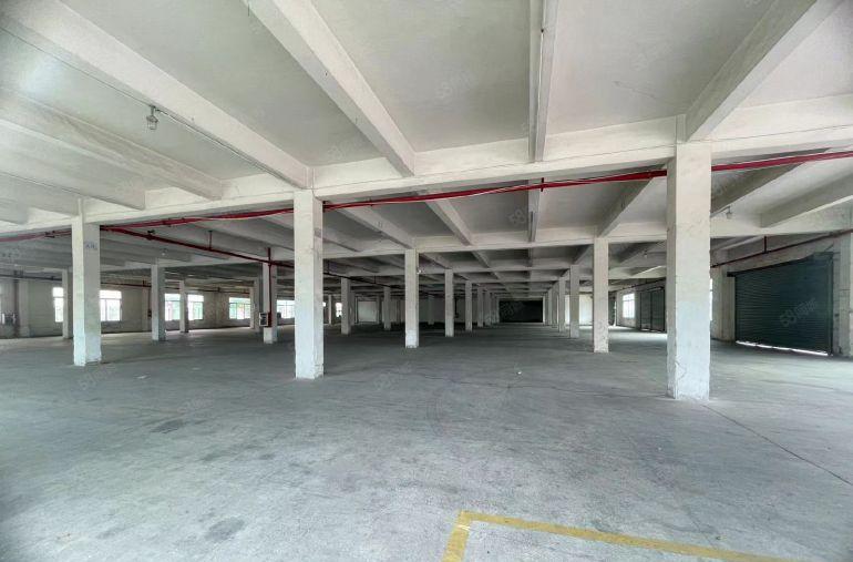 凤岗金凤凰独院实际面积7000平标准卸货平台空地大低价出租