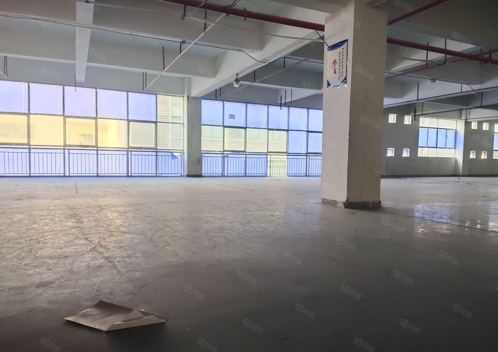 凤岗宏盈工业区独院2百5百8百1千平原房东仓库厂房出租可分租