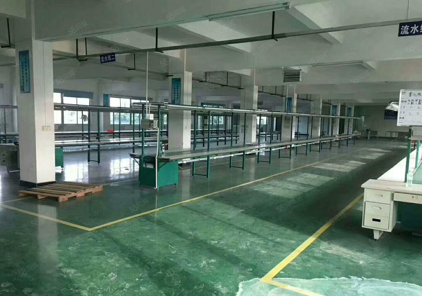 雁田月底空出3000平方独院厂房出租可分租