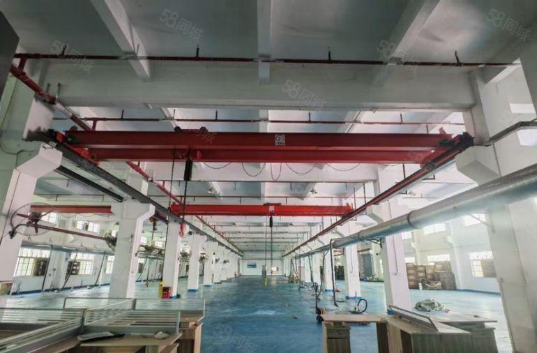 凤岗原房东独院一楼厂房出租，7.5米高带牛角行车空地超大免费