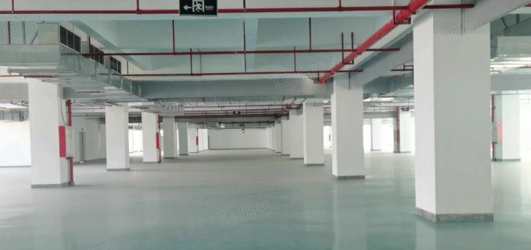 500平起租12元凤岗原房东一二楼6000平租精装修全新地坪