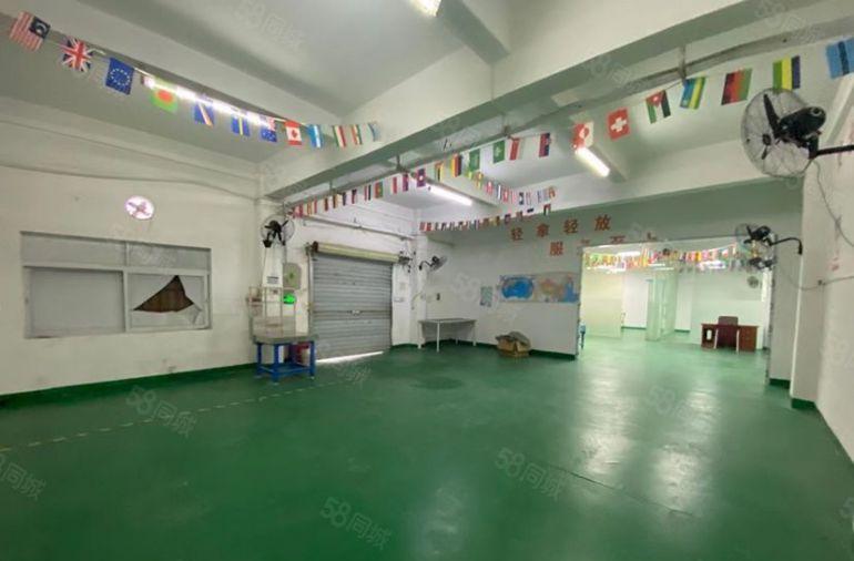 凤岗豪华装修550平厂房出租，全新地坪漆带吊顶，独门独院