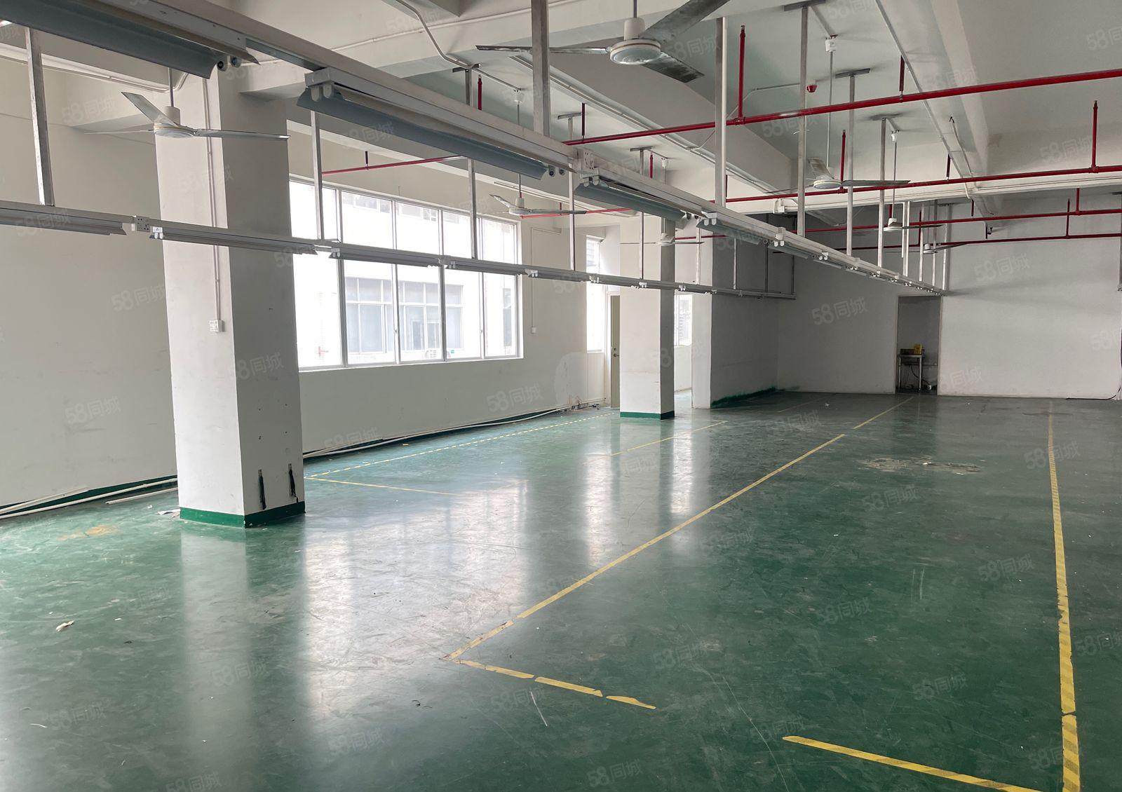 凤岗镇新出原房东红本楼上2000平厂房出租带装修可分租