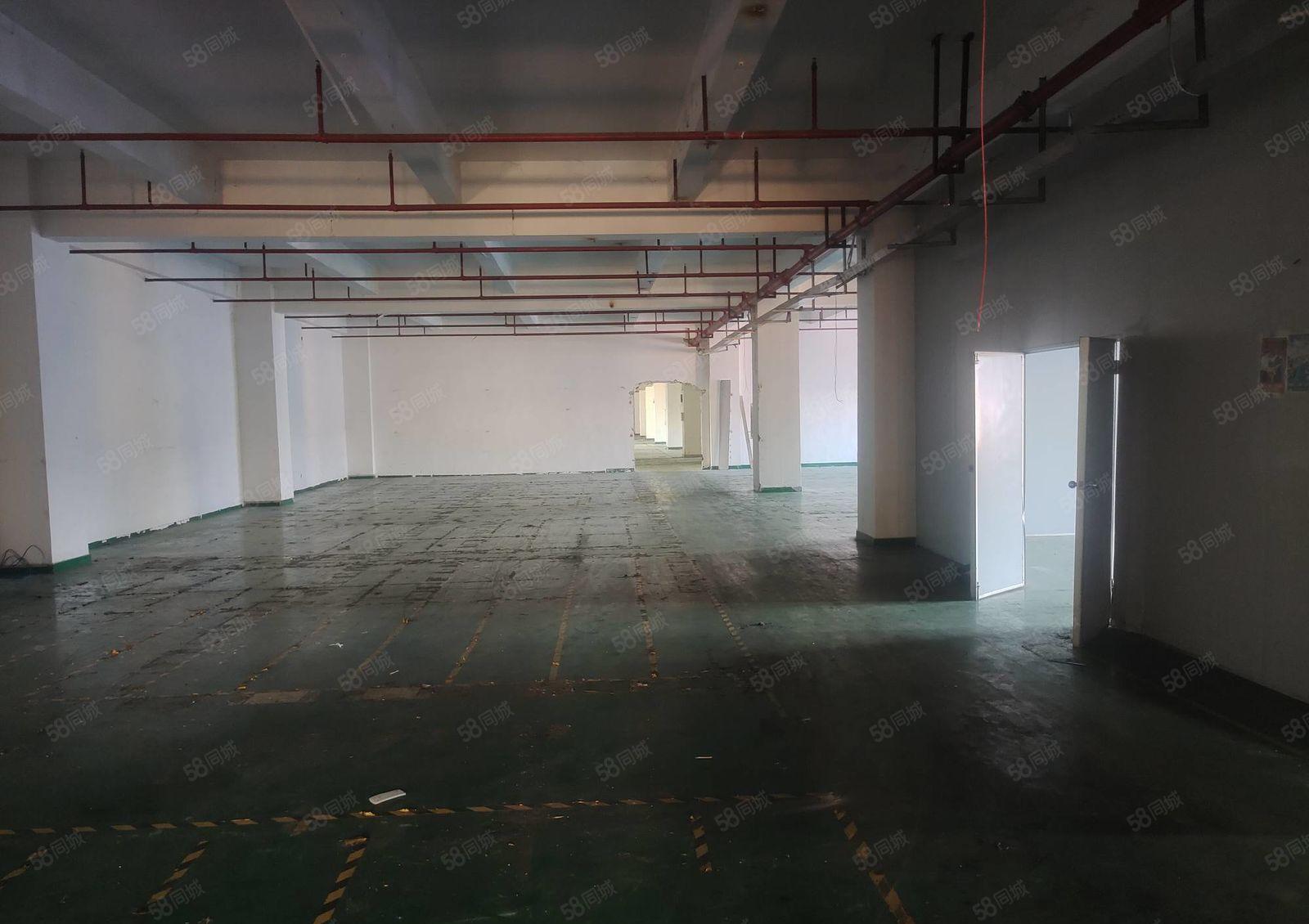 凤岗布心三楼3900平方豪华办公室重工业厂房可做五金注塑电子