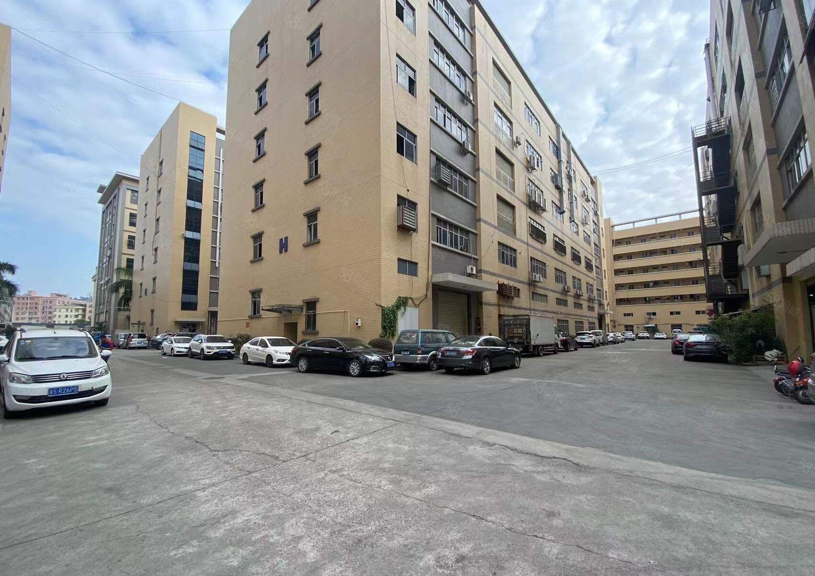 凤岗雁田布心新出楼上1000平方，现成豪华装修.