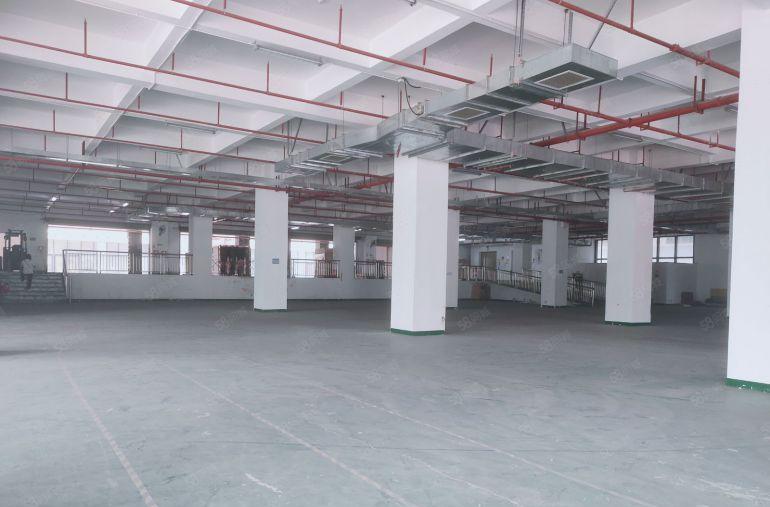 凤岗镇中心标准一楼带卸货平台厂房出租3500平 空地大无公摊