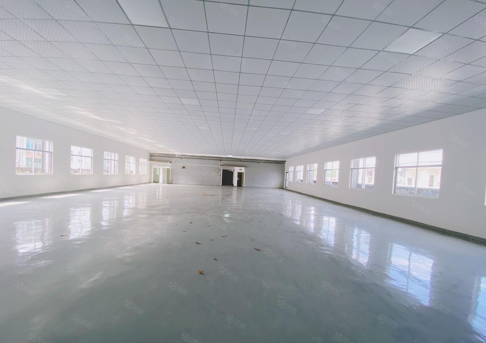 凤岗金凤凰楼上全新装修1000平现成水电办公室