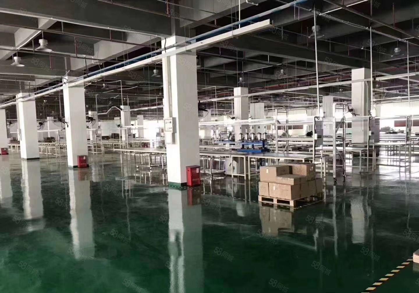 凤岗雁田二楼1500平方带办公室装修厂房出租